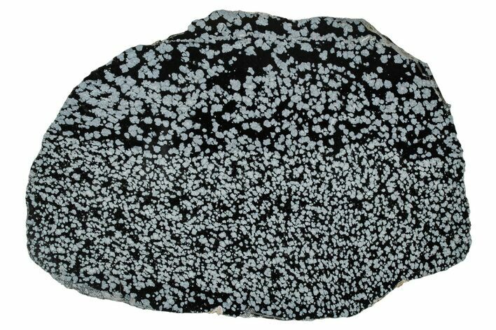 Polished Snowflake Obsidian Slab - Wyoming #336973